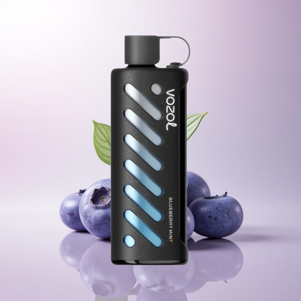 VOZOL Gear Shisha 25000 Puffs Blueberry Mint Dual Mesh 5mg Nicotine